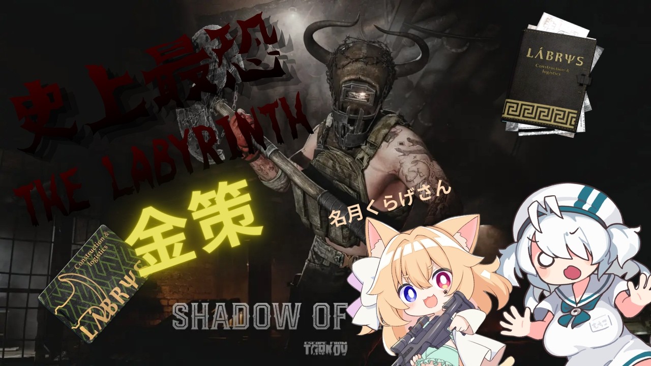 【Escape from Tarkov】ラビリンス金策会！