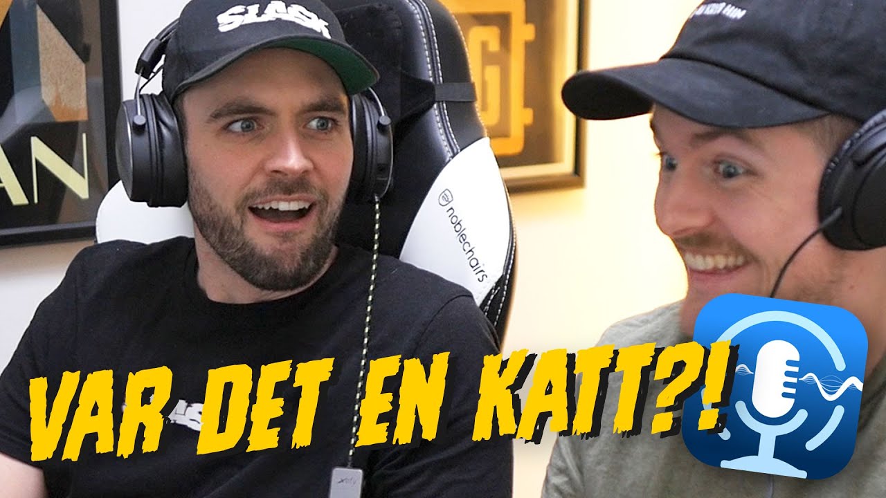 ETT ÅR AV FISAR | SLEEP RECORDER