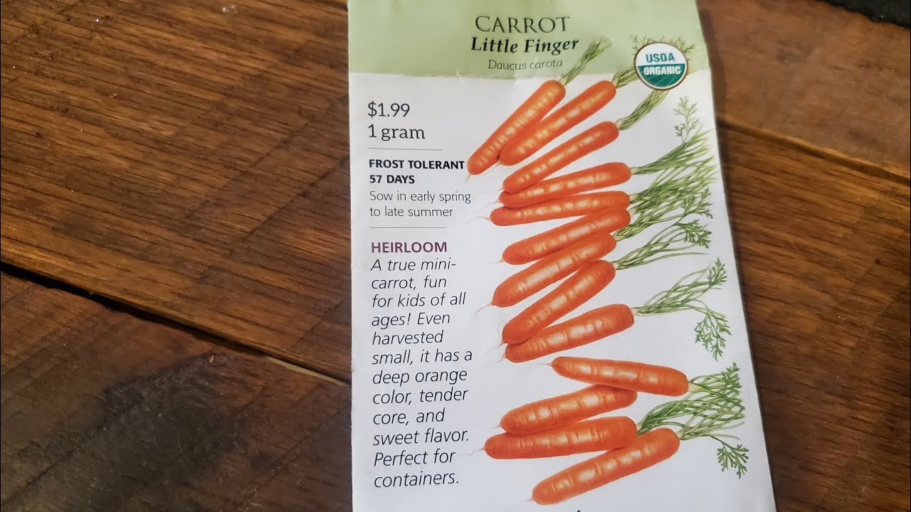 Growing carrots in the Greenstalk vertical container.