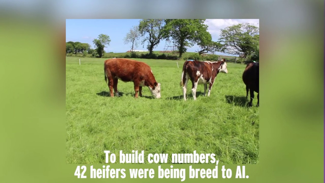 BETTER Farmer NI: Ryan McDowell