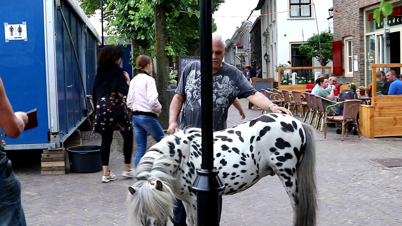 Beusichemse paardenmarkt 2018