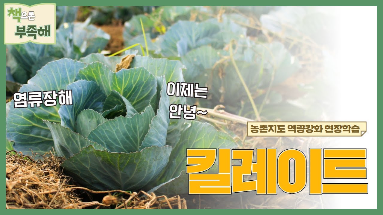 [책으론 부족해] 킬레이트로 염류장해 해결하기!
