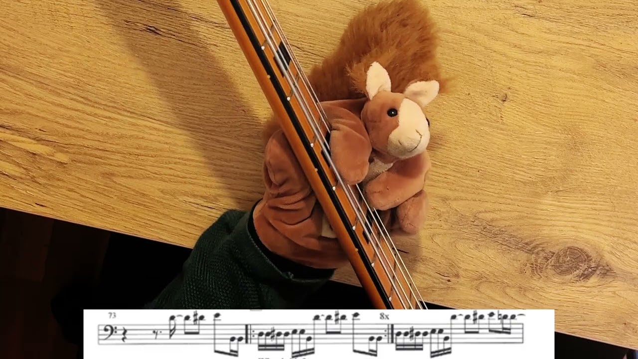 What Is Hip (Played by a Squirrel!) Basscover with notation