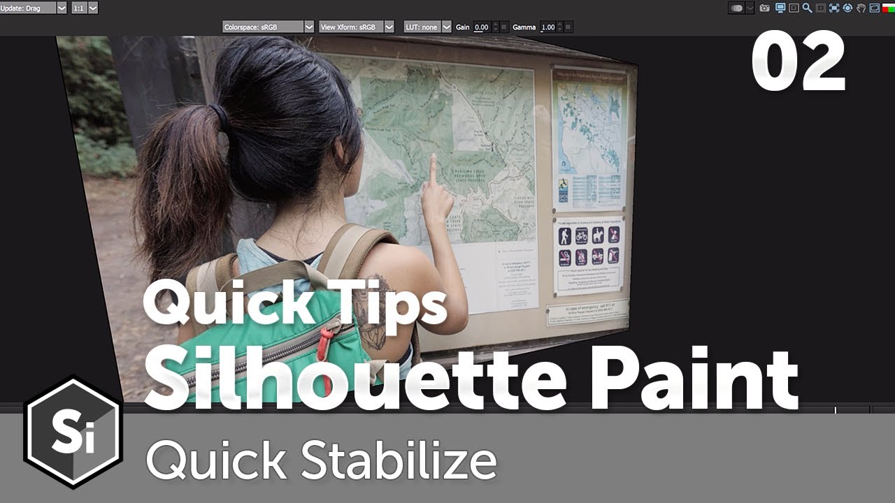 Quick Tips for Silhouette Paint: Quick Stabilize