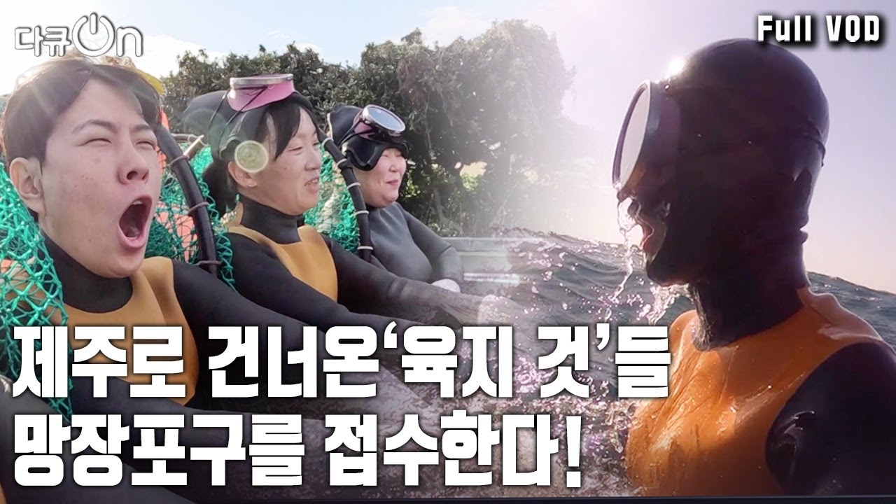 직장 때려치고 해녀가 된 청년들 연봉이? 도시 해녀들의 이중생활  [다큐온 KBS 20230505 방송]