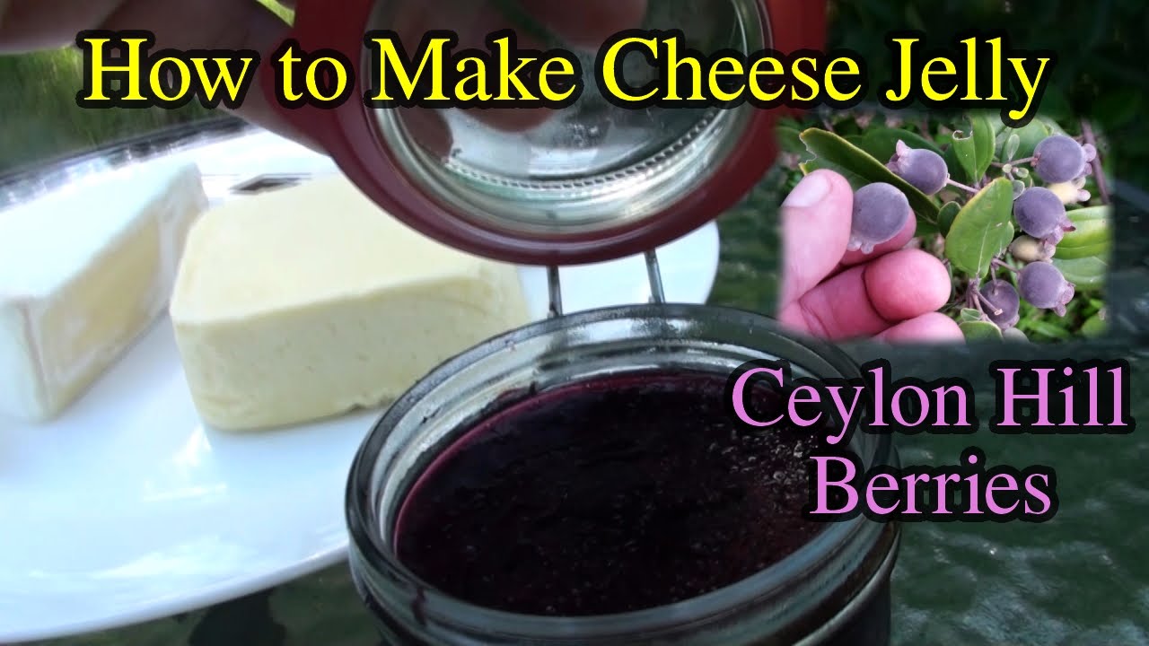 How to Make Cheese Jam or Jelly with Ceylon Hill Gooseberry