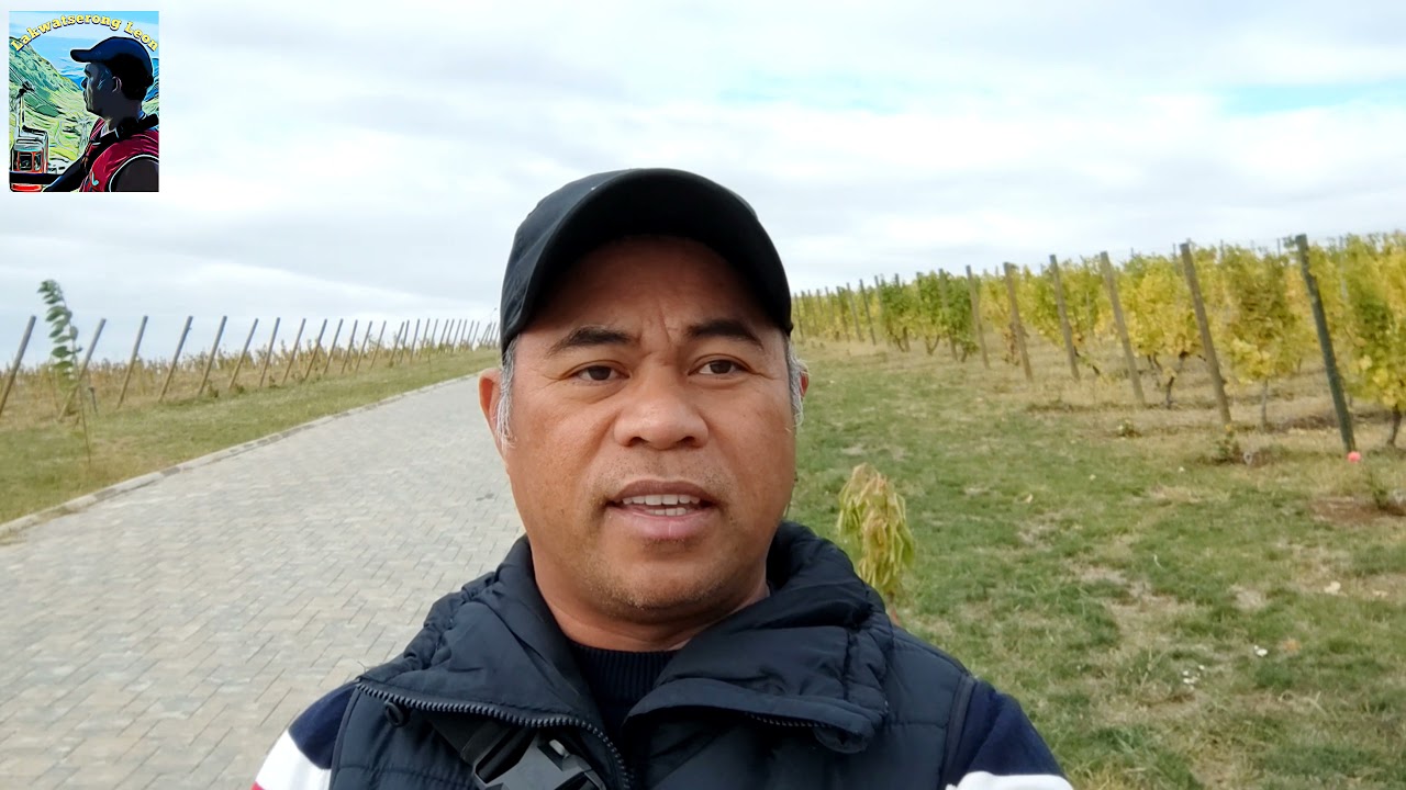 Prahova, Romania, Grapes🍇🍇🍇 Farm(vlog79)