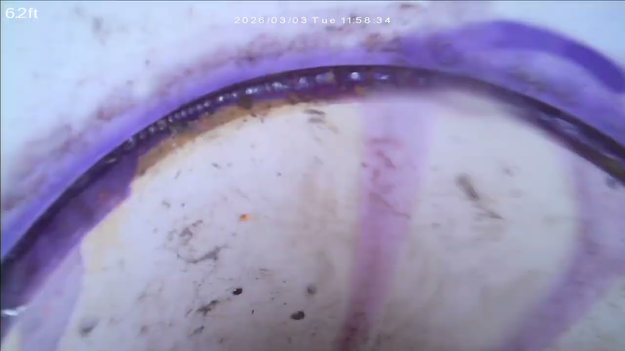 Sewerscope inspection on property ID: 1234