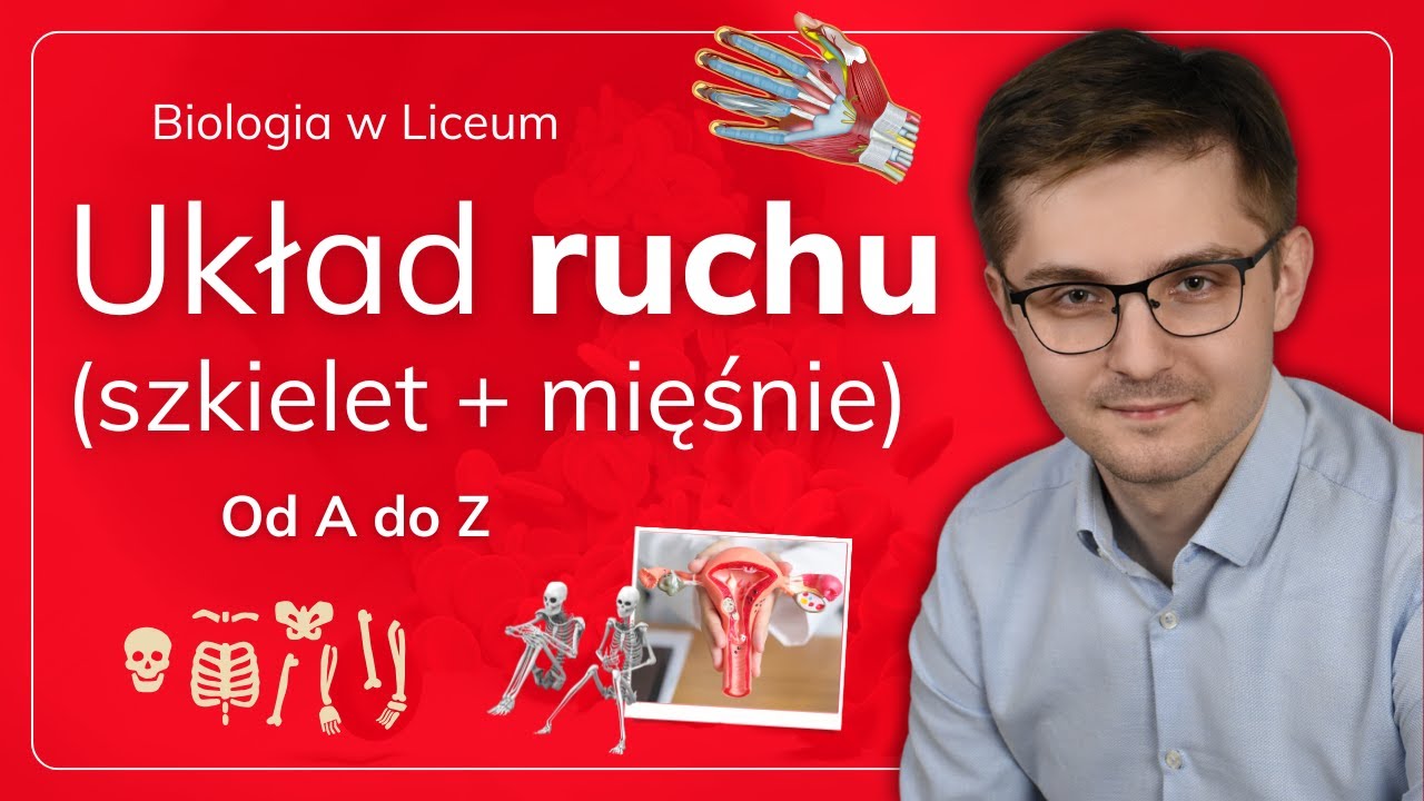 Układ ruchu od A do Z