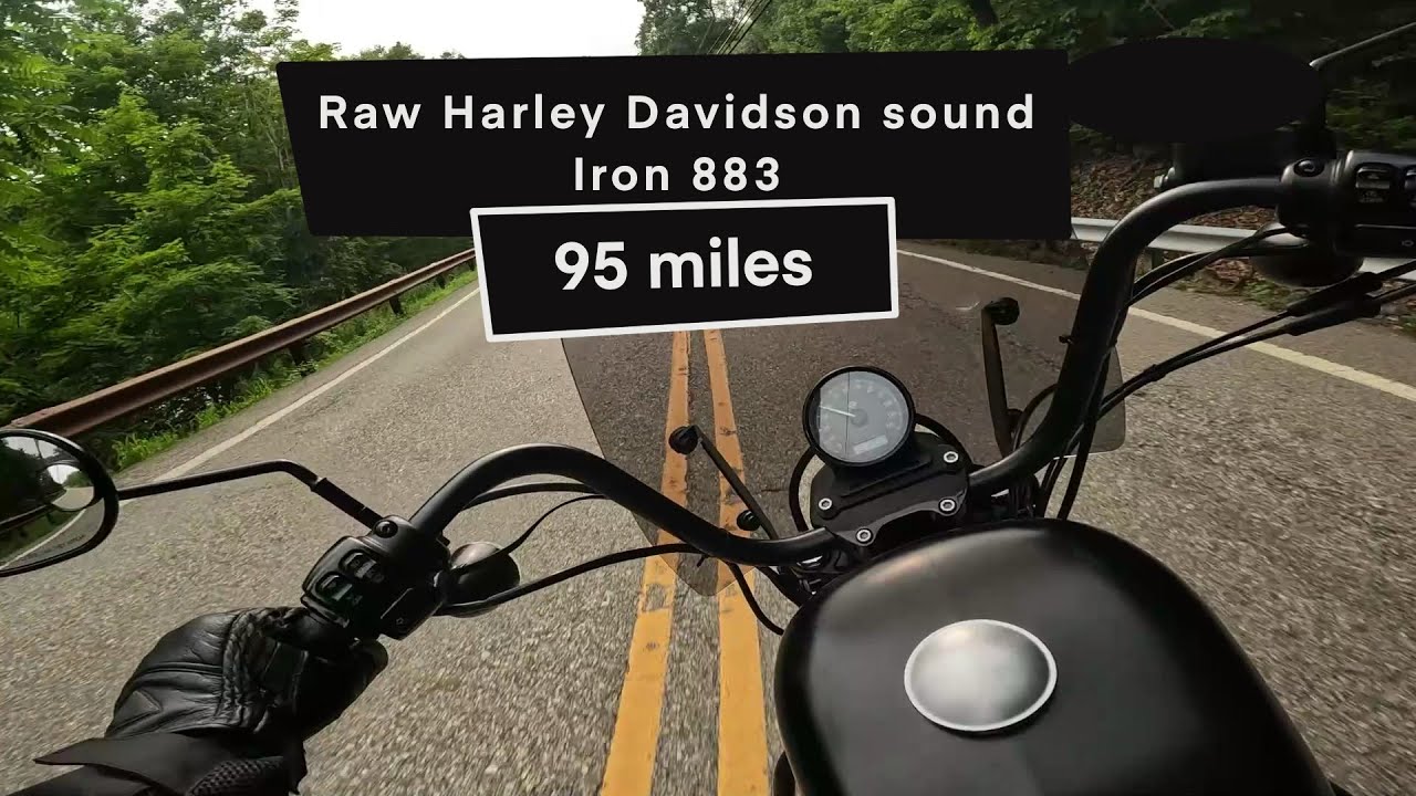 95 miles #iron883 raw Harley sound pov #memphisshades #delrio