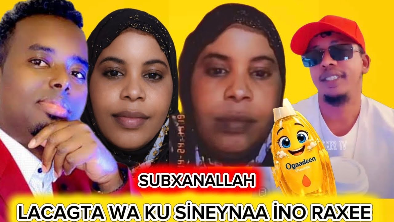 4 NİN AYAA VİDEO KA HAAYAA NOO RAXEE AYEE İGU DHEHEEN SUBXANALLAH MAXAKAMADA DAHİR CALASOW 24HRS