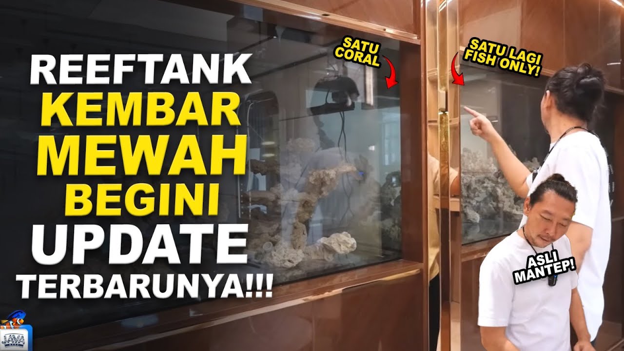 SUDAH TERISI AIR! UPDATE 2 AKUARIUM LAUT FISH ONLY DAN REEF TANK!