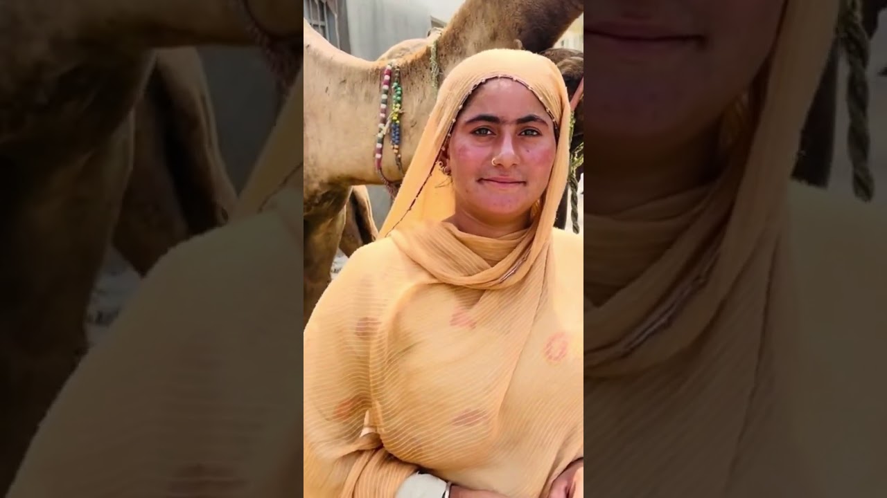 Buying Camel Milk on the Streets of Karachi Pakistan Life #villageworldvlogger