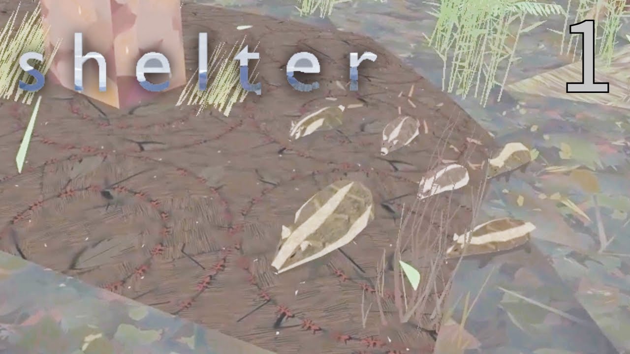 Badger Babies! | Shelter