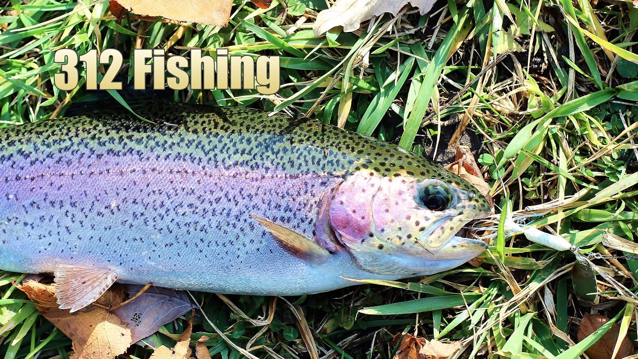 Fall Trout Opener Axehead Lake IL 10/21/2020