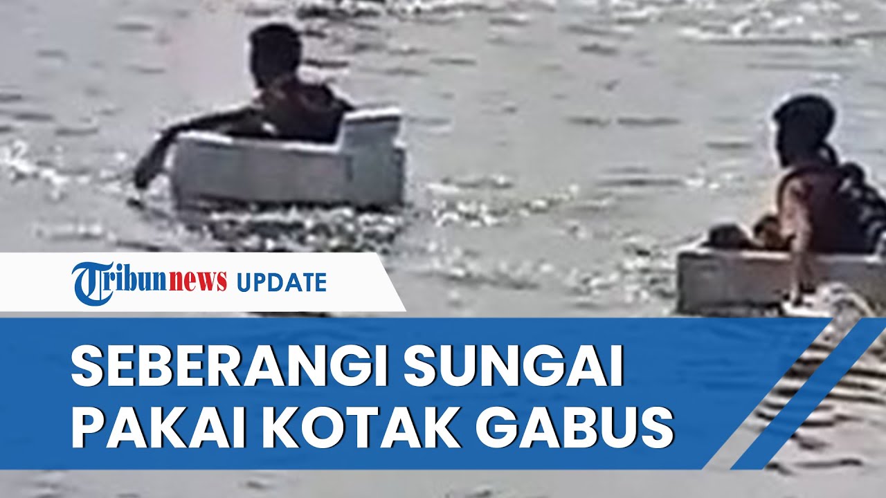 Viral Video Bocah di OKI Seberangi Sungai Naik Gabus Saat Berangkat Sekolah, Ini Penjelasannya