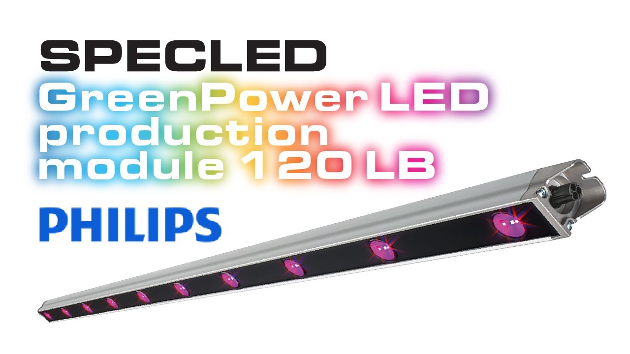 Фитолампа Philips GP LED DR/B 120 LB для вертикальных ферм. Свеодиодна LED лампа для рассады, цветов