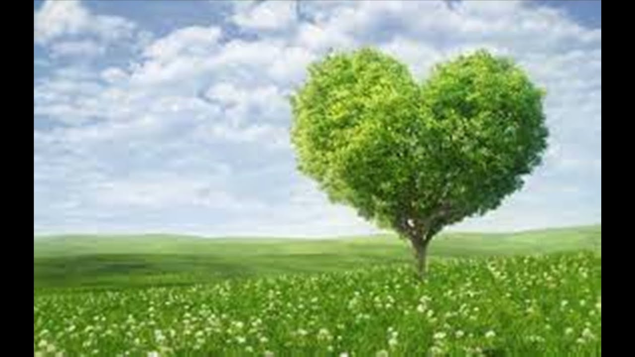 Dine løfter er mange, din trofasthet stor (539 i Norsk Salmebok 2013) Hamarøy kirke