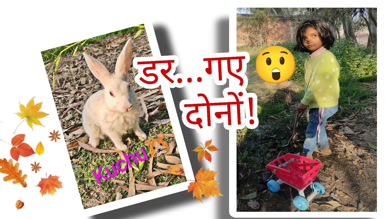 Kittu & Kuchu New funny Video 🐭 #bunny #funny 
