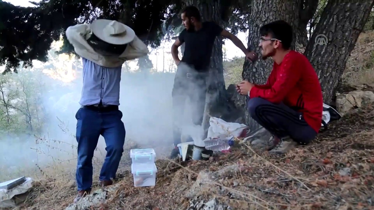 Toroslar'daki  organik bal  üç arkadaşın geçim kaynağı oldu
