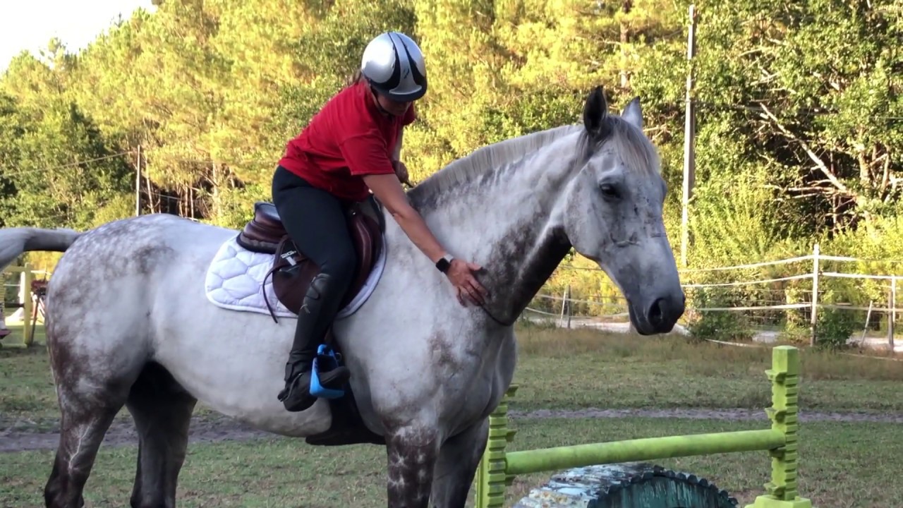 Etape 2 : comment monter son cheval en cordelette et en liberté