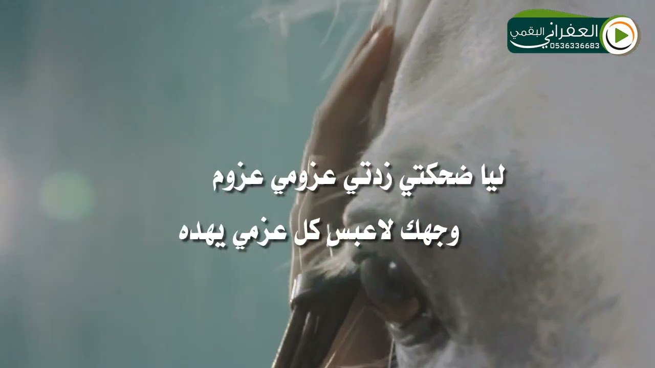 شيلة ياهمس ابوك مبيح الحلم سده كلمات الشاعر حاكم عايض الرشيدي اداء معيض الرشيدي