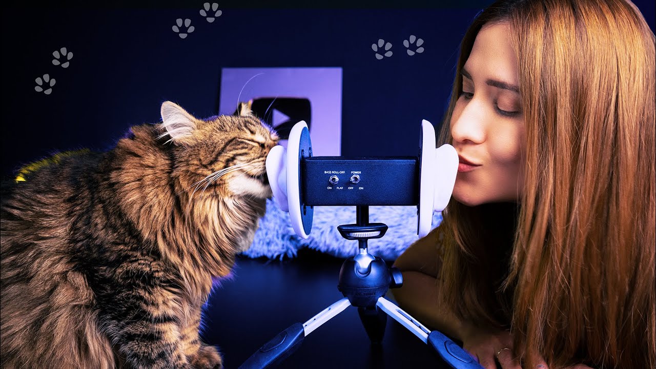 ASMR CON il MIO GATTO | Asmr Ita | Asmr with Sasha
