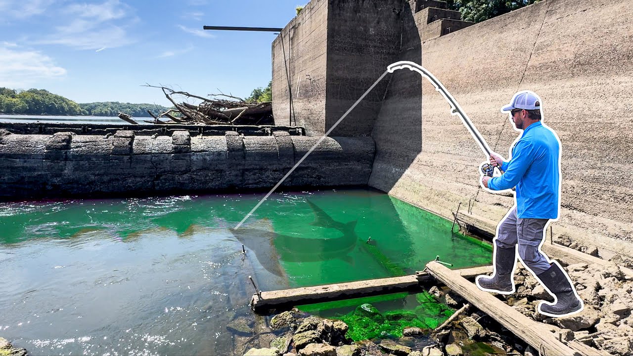 A BIG FISH was Living in This ABANDONED CONCRETE PIT!!!