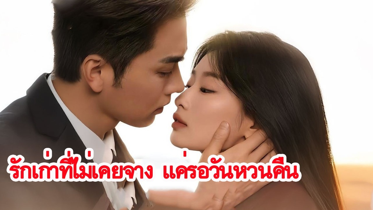 อดีตสามีกำลังแต่งงานใหม่ แต่เธอไม่ใช่ผู้หญิงเรียบร้อยอีกต่อไป รักรีเทิร์นของคู่สายแข็งสุดหวาน