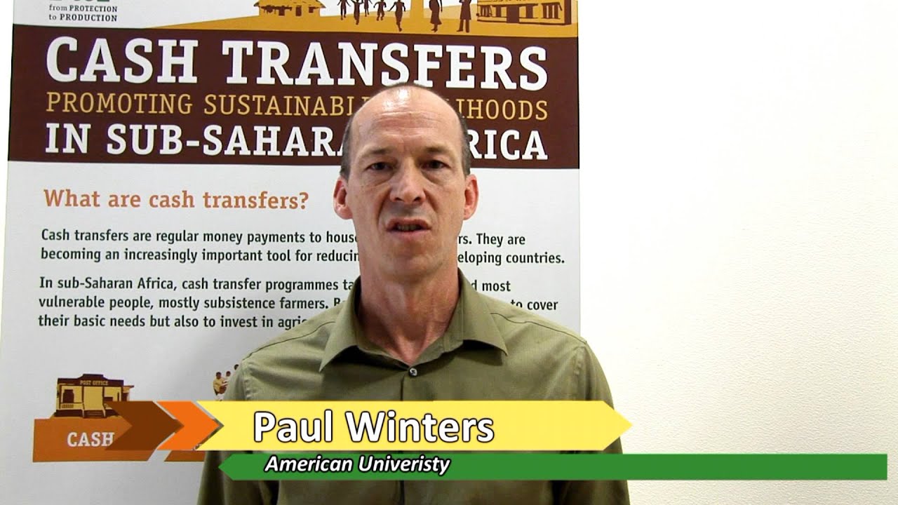 What are the impacts of cash transfer programs on household livelihoods?