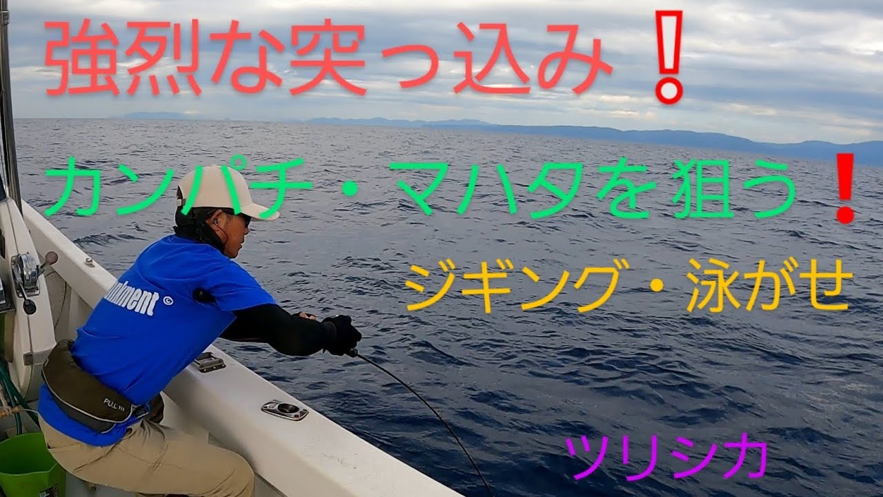 カンパチ・マハタをジギングとカマスの泳がせで狙う❗　　　ツリシカ