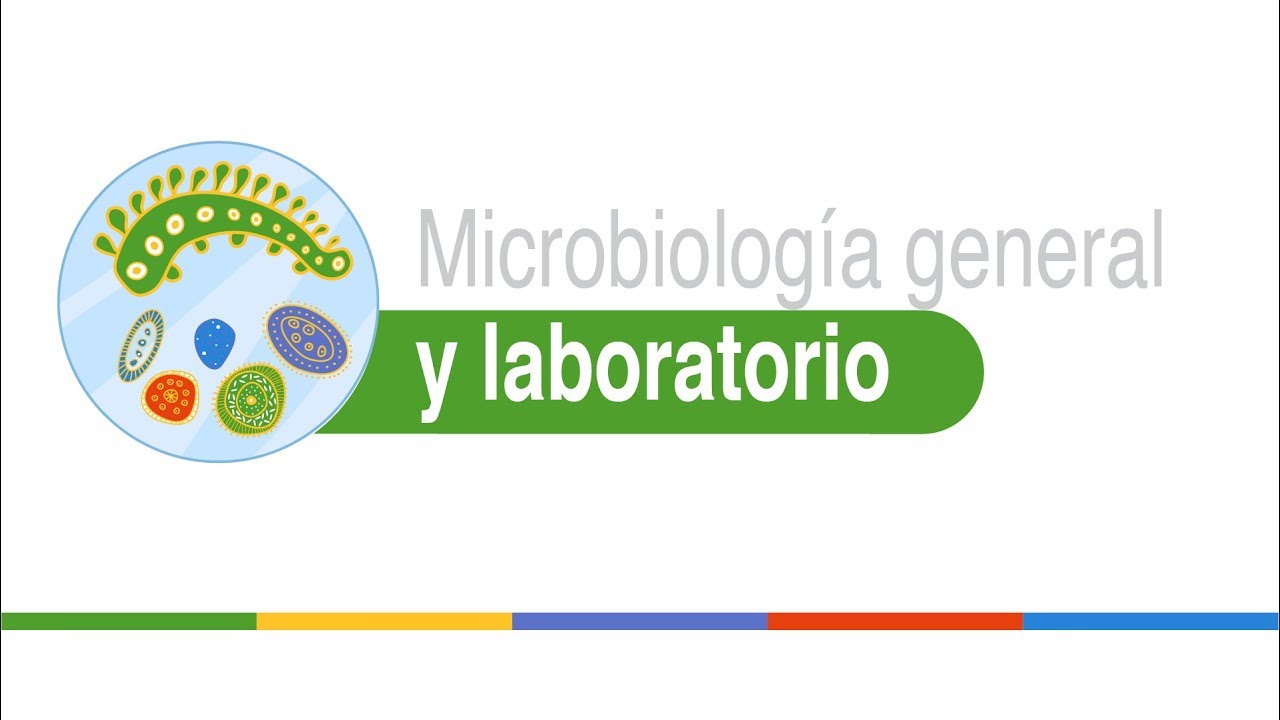 Preparación de placas y propiedades tintoriales de los microorganismos