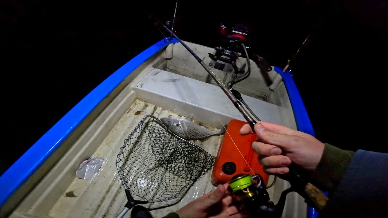 Canal Chaos 3- Night Edition - Eastern Cape Fishing