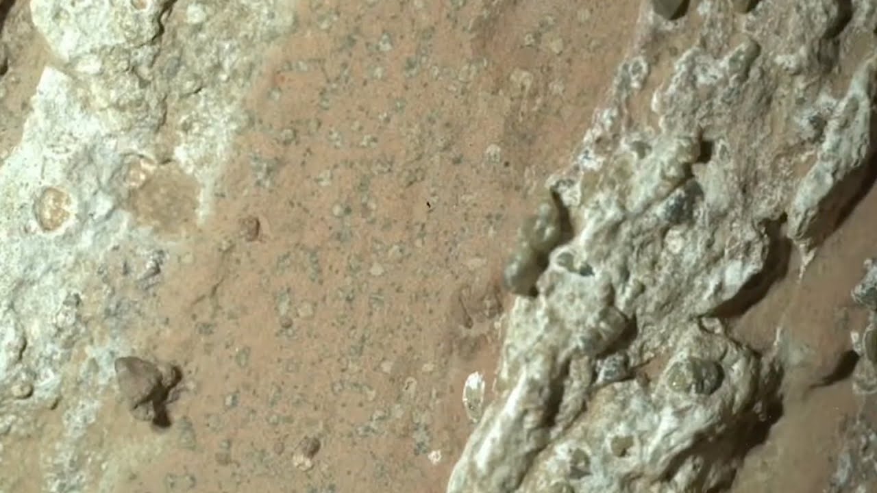 Life on ancient Mars? NASA explains Perseverance rover's latest update
