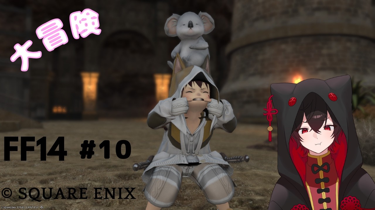 【FINAL FANTASY XIV】　二日ぶりのFF14　#10 概要確認必須