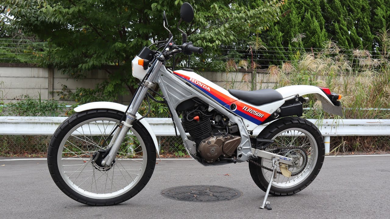 HONDA TLR250R 1986年式 [NO. 304]