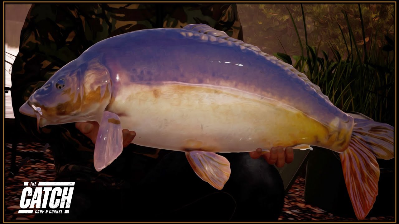 Stalking Big Carp at Oxlease Lake - The Catch Carp & Coarse