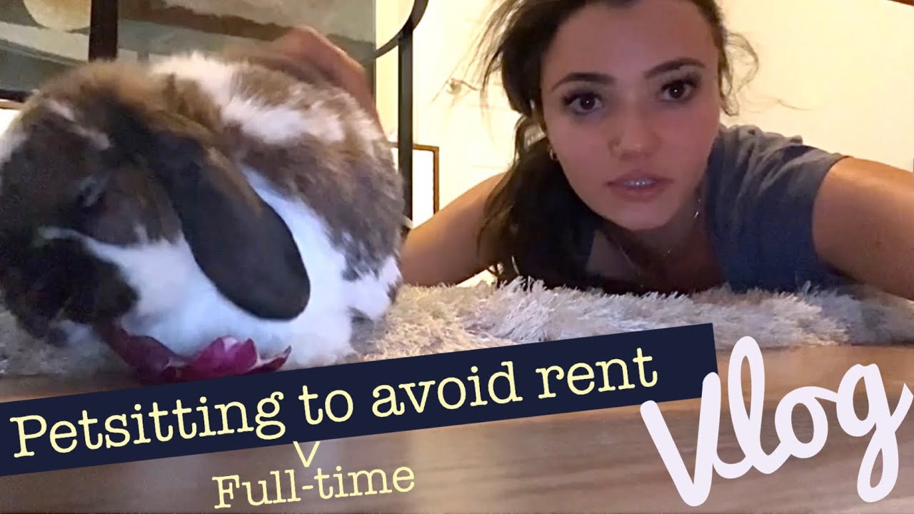 Realistic (Moving) Day in the life of a Petsitter (with a cute bunny!!) | Living Rent Free