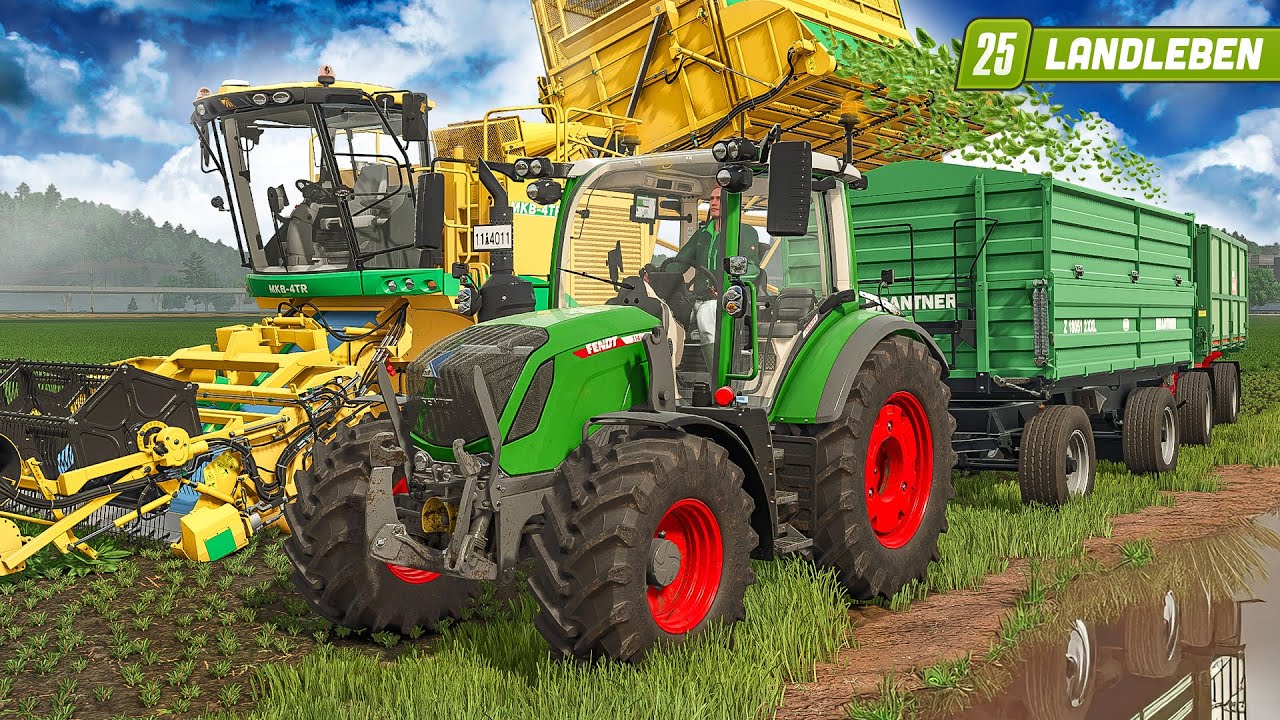Lohnt sich diese Ernte? Spannung beim SPINAT! | Landleben #10 | LANDWIRTSCHAFTS SIMULATOR 25