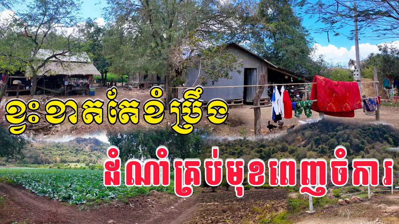 ភូមិកំសត់លាក់ខ្លួននៅស្រុកបាណន់ ជិះតាមជើងភ្នំស្រស់ស្អាតមានទាំងវត្តបុរាណនិងដំណាំសំបូរបែប