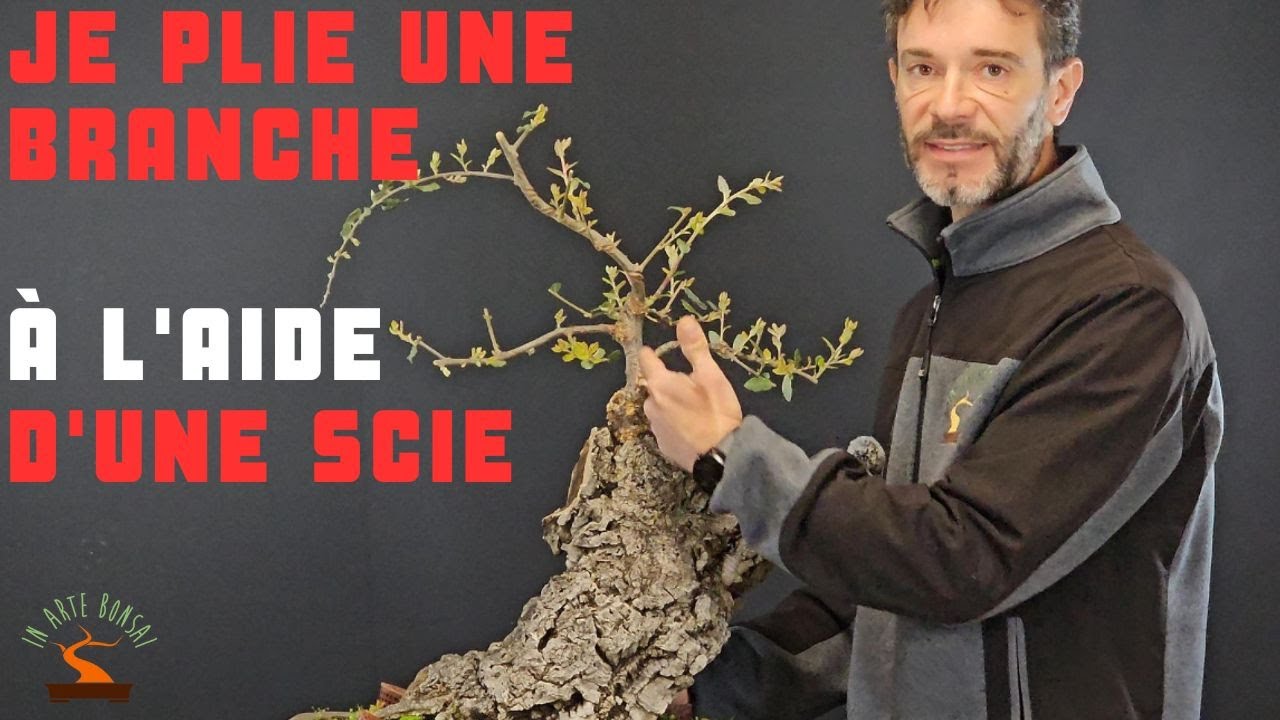 Voici comment je plie une branche trop rigide à l'aide d'une scie