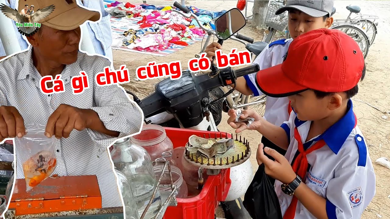 Kì quái, xe cá thia thia, cá kiểng của Chú 5 bán dạo, có gì mà hút khách đến thế ???│Yêu Miền Tây 63