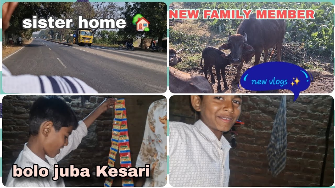 Mere ghar me new vloger aa gye h dekhe 😅#trending #1mviewers #viral #youtubevlogger #expolorepage 