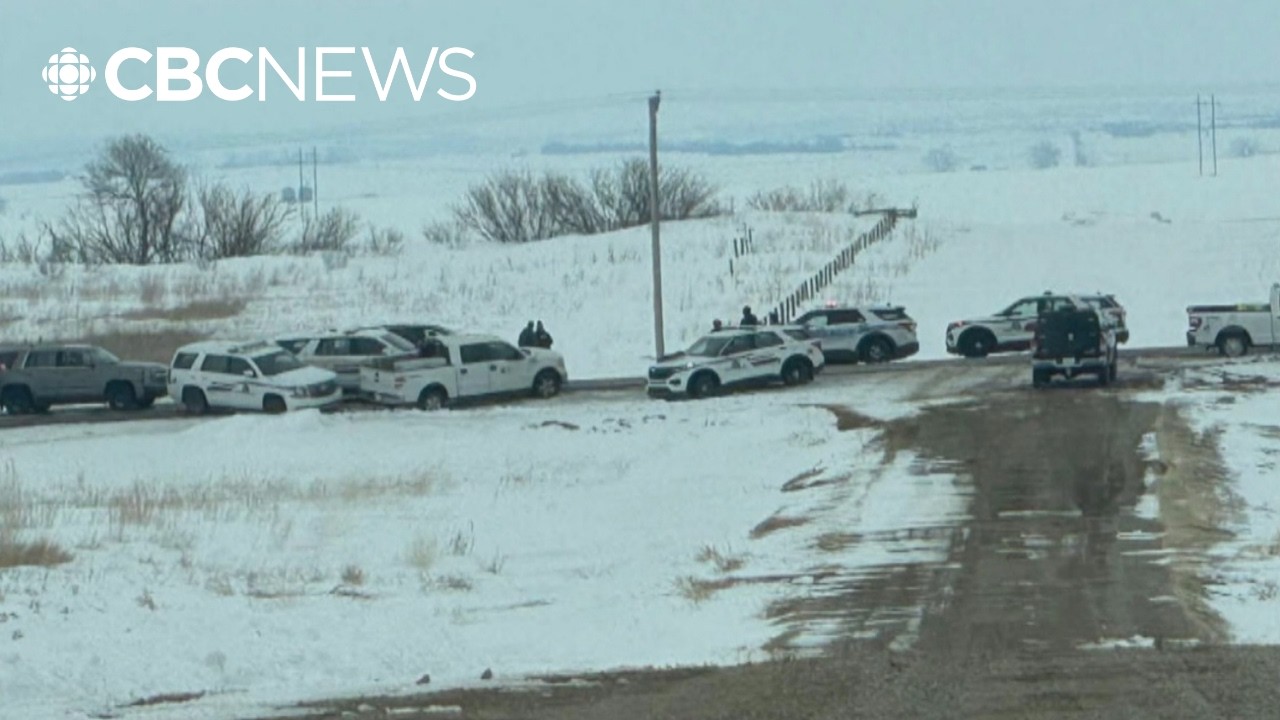 Man gets prison sentence for Saskatoon crime spree