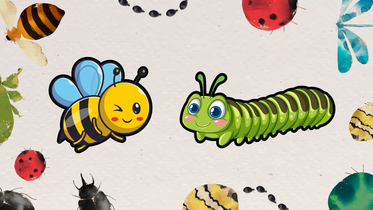 Insekter 1 | Watermelon