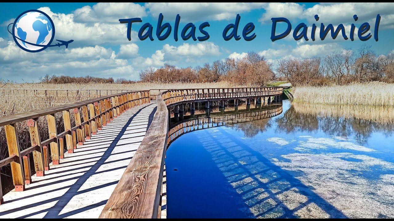 QUÉ VER en las TABLAS DE DAIMIEL, Ciudad Real - Parque Nacional y Reserva de las Biosfera
