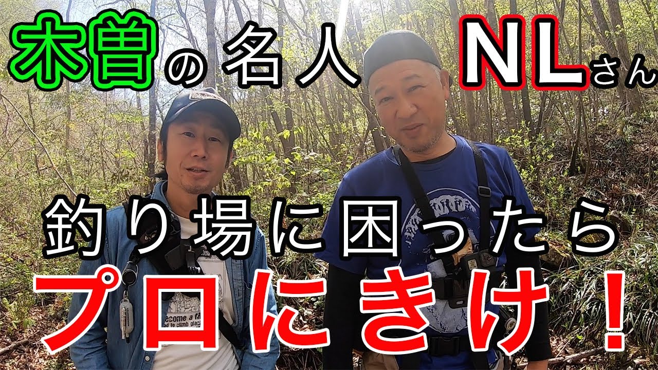 【NLさんコラボ】木曽渓流ならNLガイド！釣り場に困ったらプロにきけ！