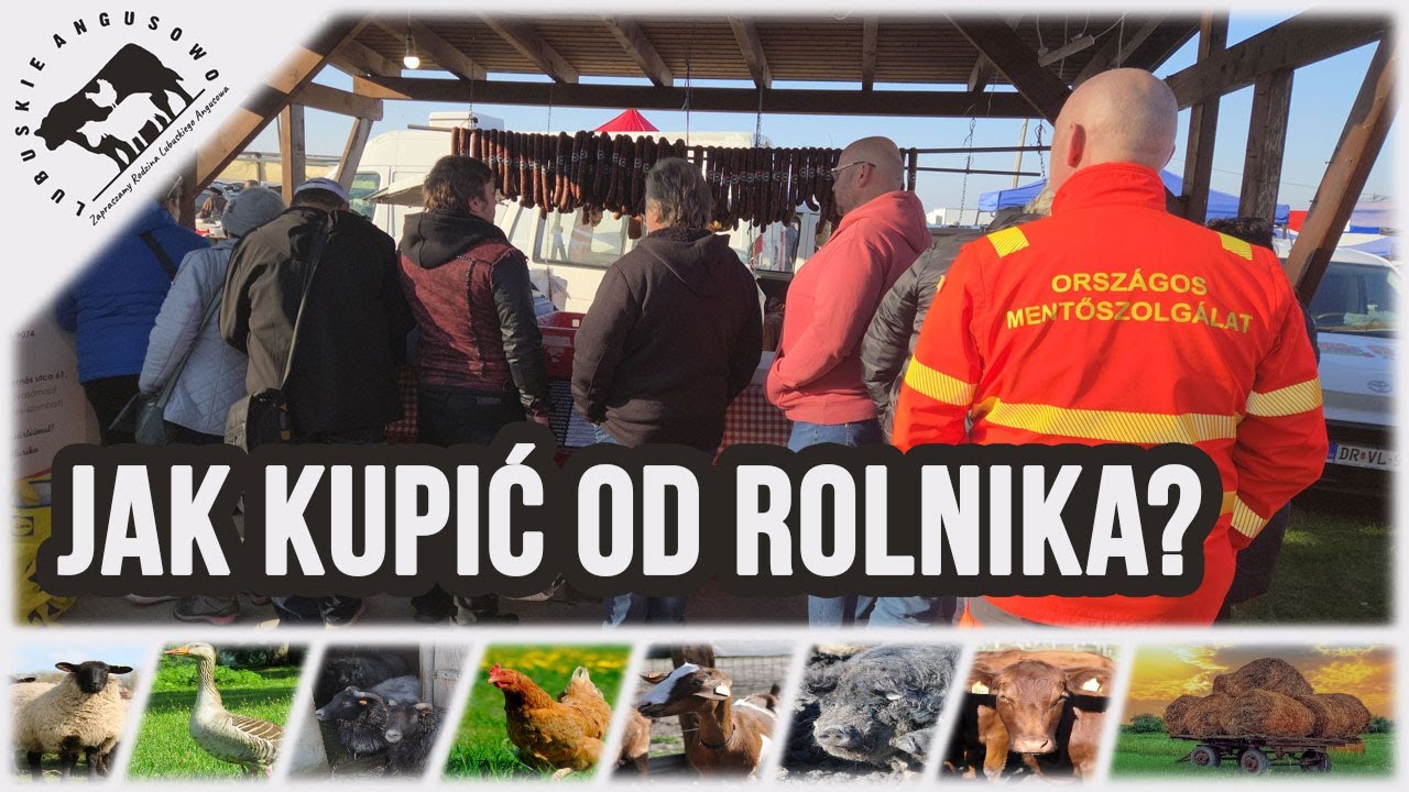 Lubuskie Angusowo - S8 E34 - Sprzedaż żywności od rolnika - jak to powinno wyglądać