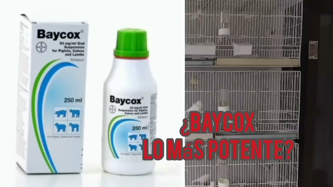¿BAYCOX ES EL ANTIPARASITARIO MAS POTENTE PARA AVES?