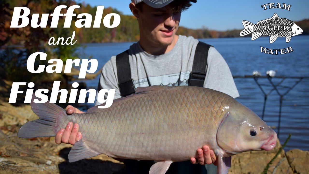 Buffalo and Carp Fishing in Lake Wateree - New PB's!
